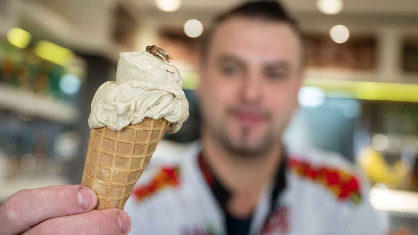 Ausgefallene Kreationen: Thomas Micolino, Inhaber des Eiscafé Rino, führt in seinem Sortiment ein Eis, das zum Teil aus Grillenmehl besteht.