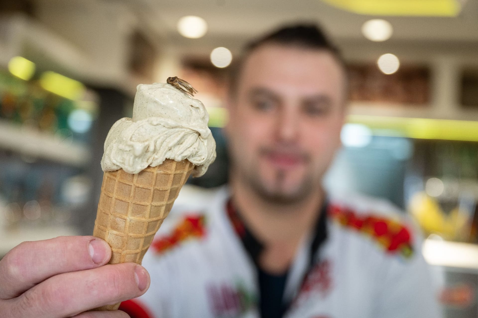 Ausgefallene Kreationen: Thomas Micolino, Inhaber des Eiscafé Rino, führt in seinem Sortiment ein Eis, das zum Teil aus Grillenmehl besteht.
