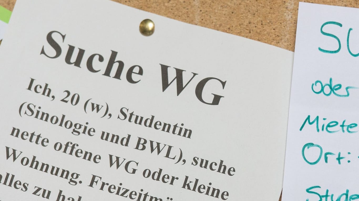 Der Zettel einer WG-Zimmer-Suchenden hängt an einem Schwarzen Brett (Symbolbild): In München sind die Zimmer horrend teuer.