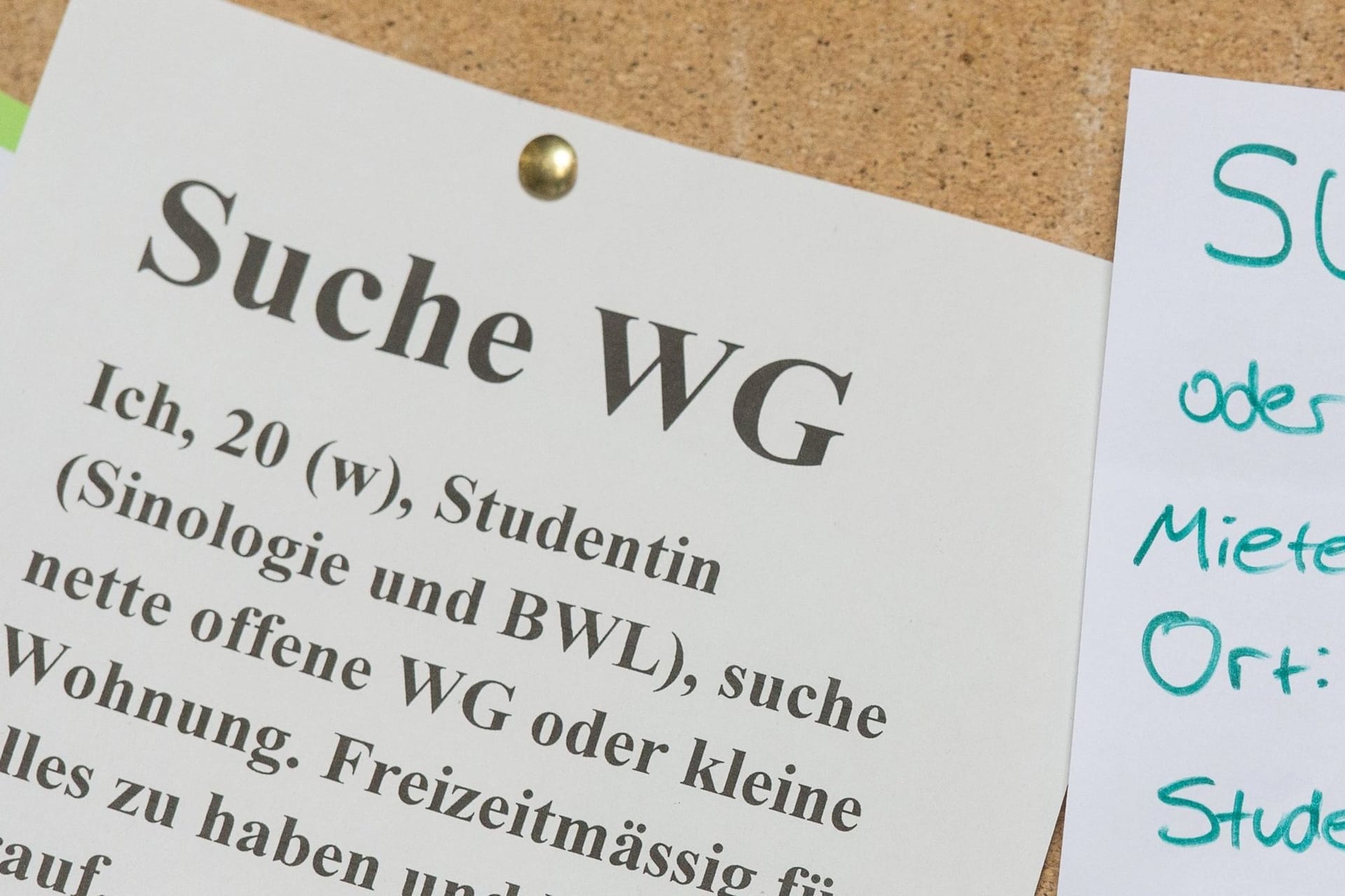 Der Zettel einer WG-Zimmer-Suchenden hängt an einem Schwarzen Brett (Symbolbild): In München sind die Zimmer horrend teuer.