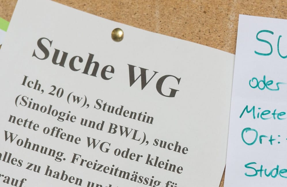 Der Zettel einer WG-Zimmer-Suchenden hängt an einem Schwarzen Brett (Symbolbild): In München sind die Zimmer horrend teuer.