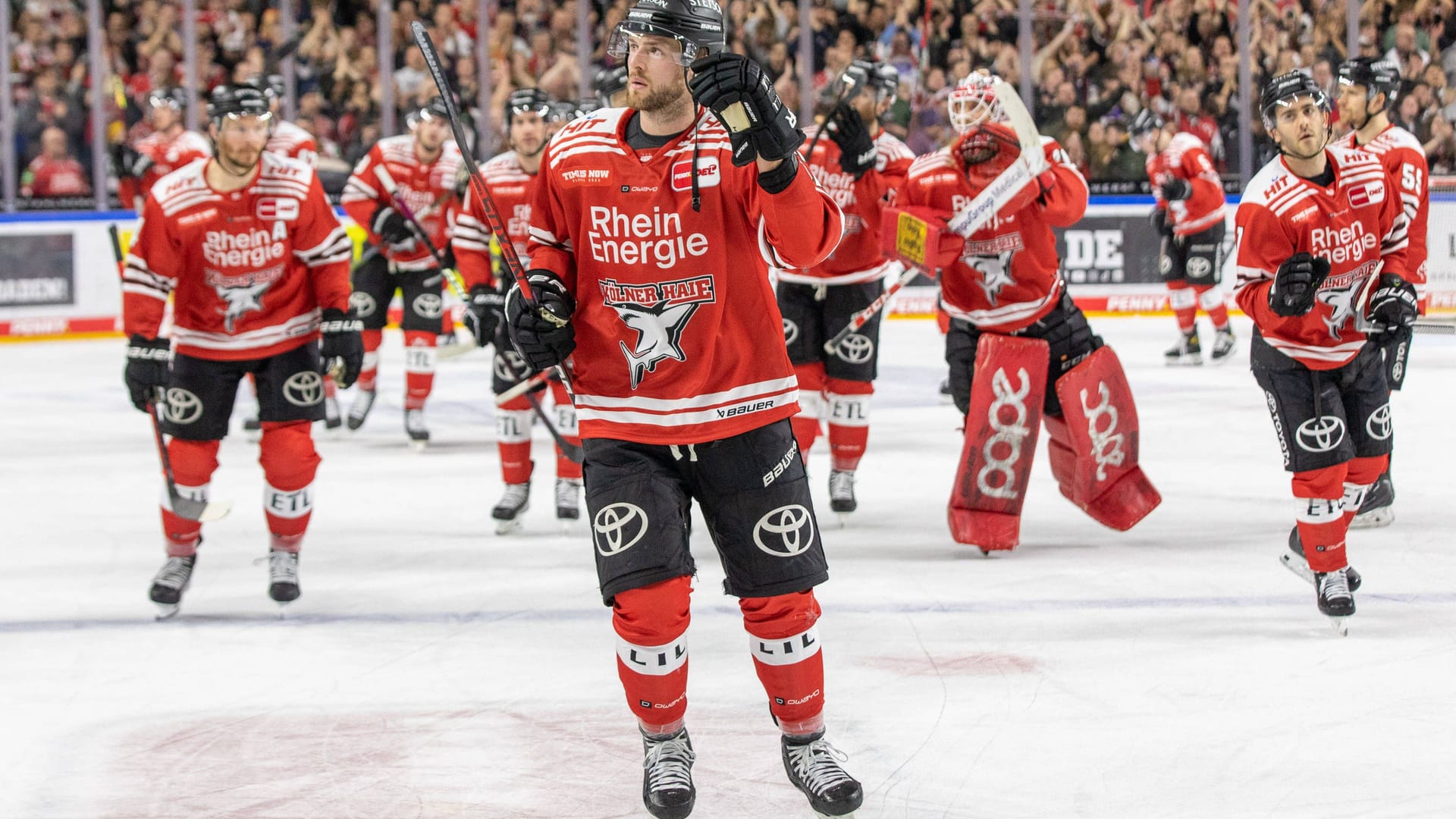 Die Spieler der Kölner Haie: Der Eishockeyklub aus der Domstadt misst sich aktuell mit Mannheim.