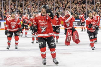 Die Spieler der Kölner Haie: Der Eishockeyklub aus der Domstadt misst sich aktuell mit Mannheim.