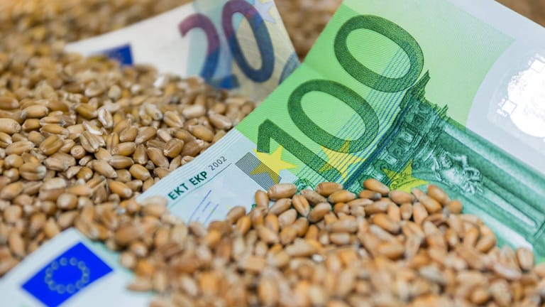 Euroscheine in Weizenkörnern (Symbolbild): Anleger können auch in Rohstoffe wie Weizen investieren.