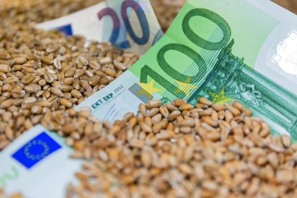 Euroscheine in Weizenkörnern (Symbolbild): Anleger können auch in Rohstoffe wie Weizen investieren.