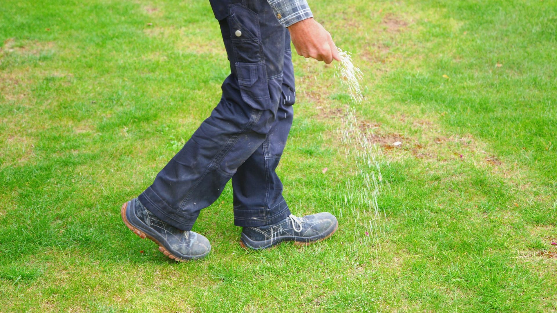 Rasen düngen im Frühjahr: Ab März können Sie Ihren Rasen bei Temperaturen ab 10 Grad düngen.