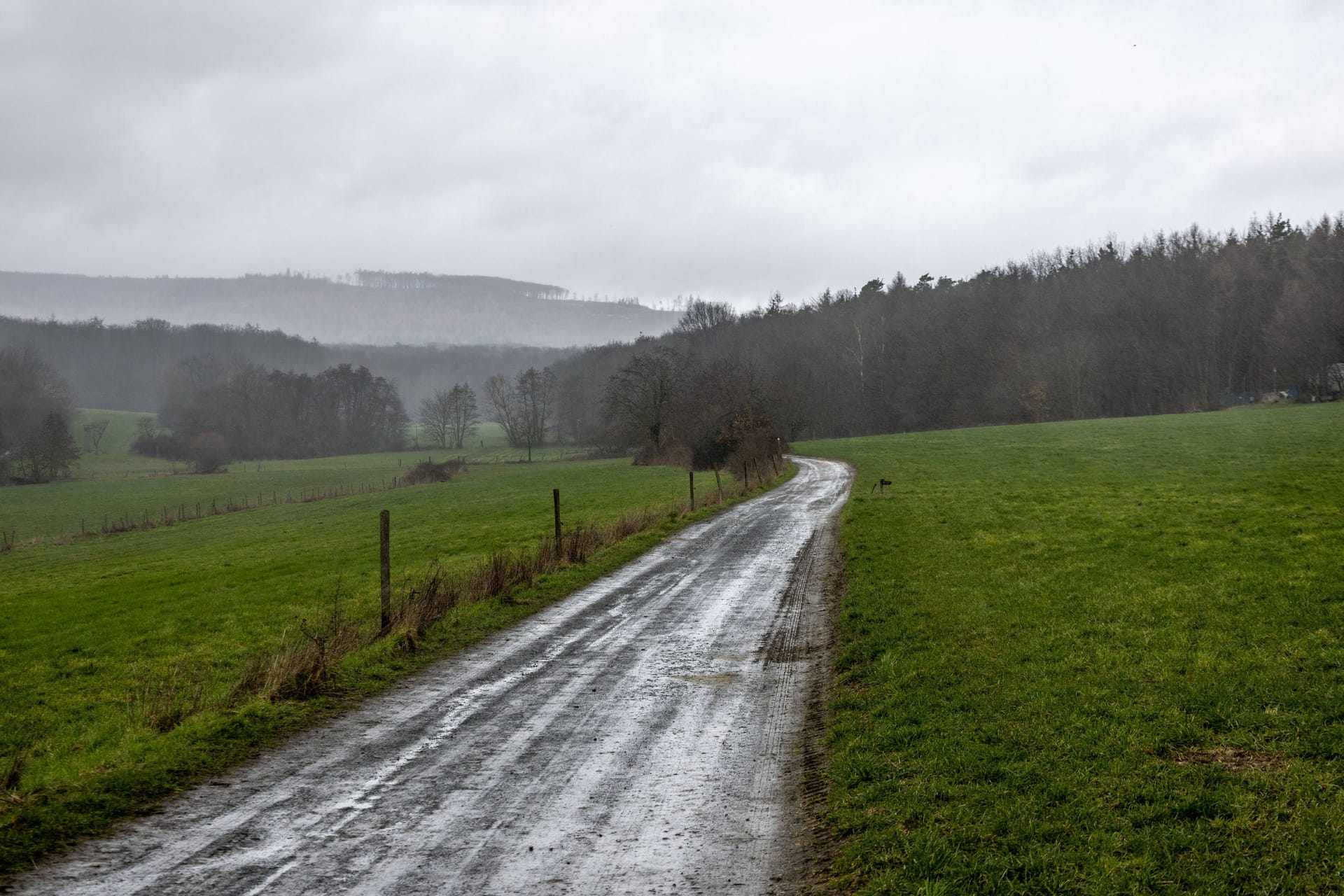 Regen, Wind, Sturm, Bayern, Unwetter, Wetter, Schneefall