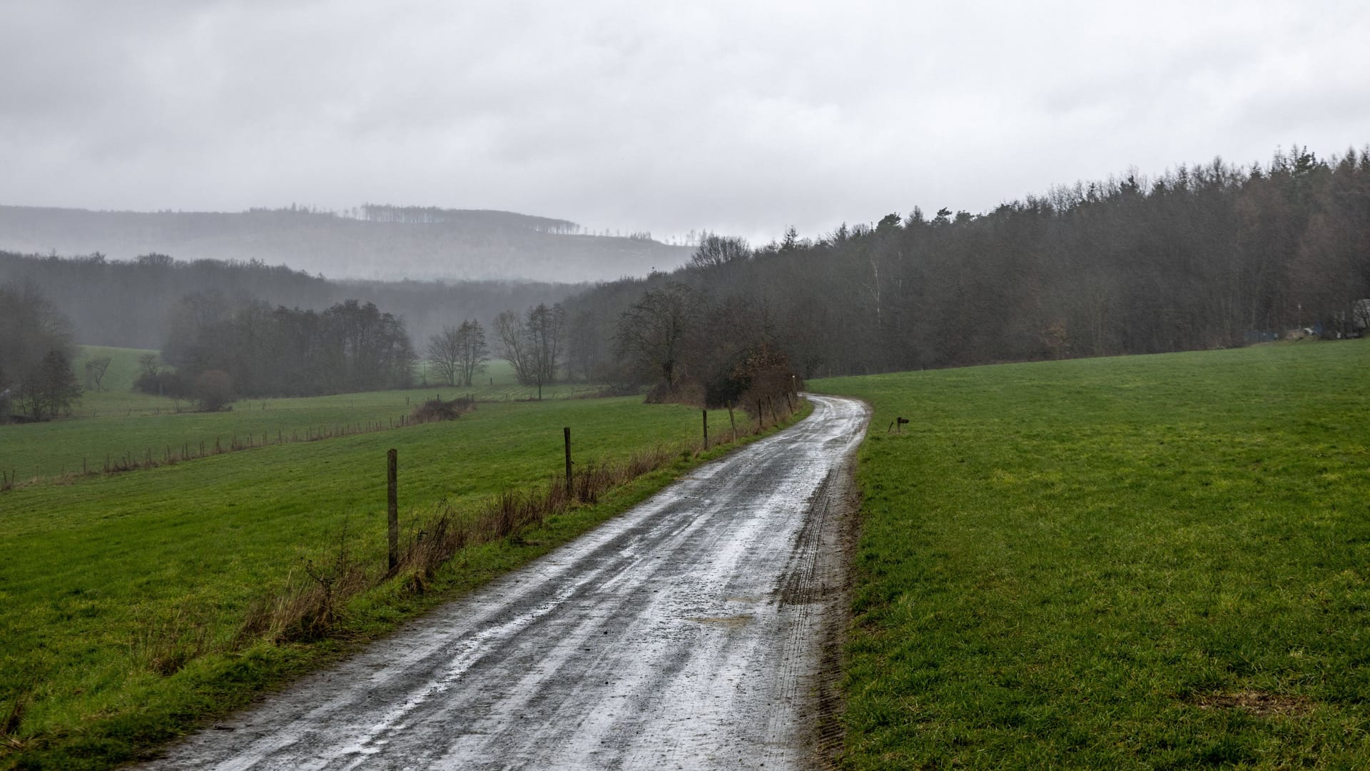 Regen, Wind, Sturm, Bayern, Unwetter, Wetter, Schneefall