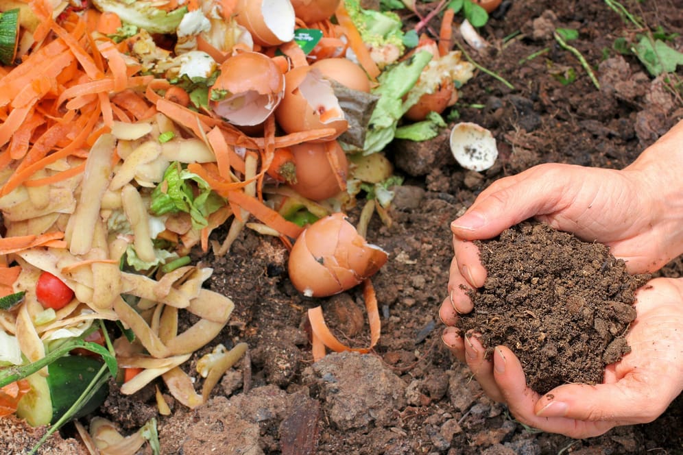 Kompost: Mit dem Kompostieren können Sie nachhaltig Ihre Pflanzen düngen.