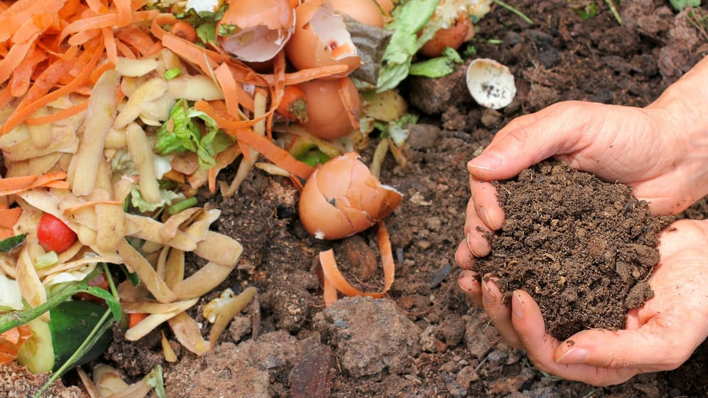 Kompost: Mit dem Kompostieren können Sie nachhaltig Ihre Pflanzen düngen.