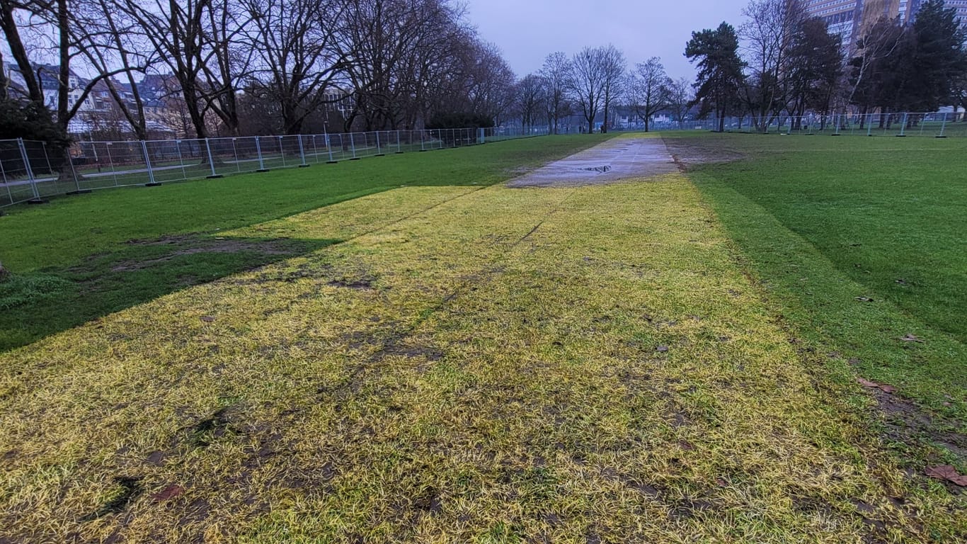 Die Wiese an der Luxemburger Straße: Die Abdrücke der Bodenplatten, die den Rasen schützen sollten, sind deutlich zu erkennen.