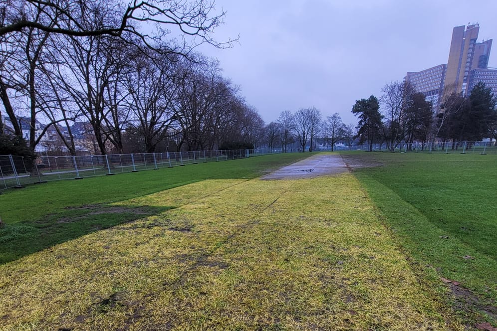 Die Wiese an der Luxemburger Straße: Die Abdrücke der Bodenplatten, die den Rasen schützen sollten, sind deutlich zu erkennen.