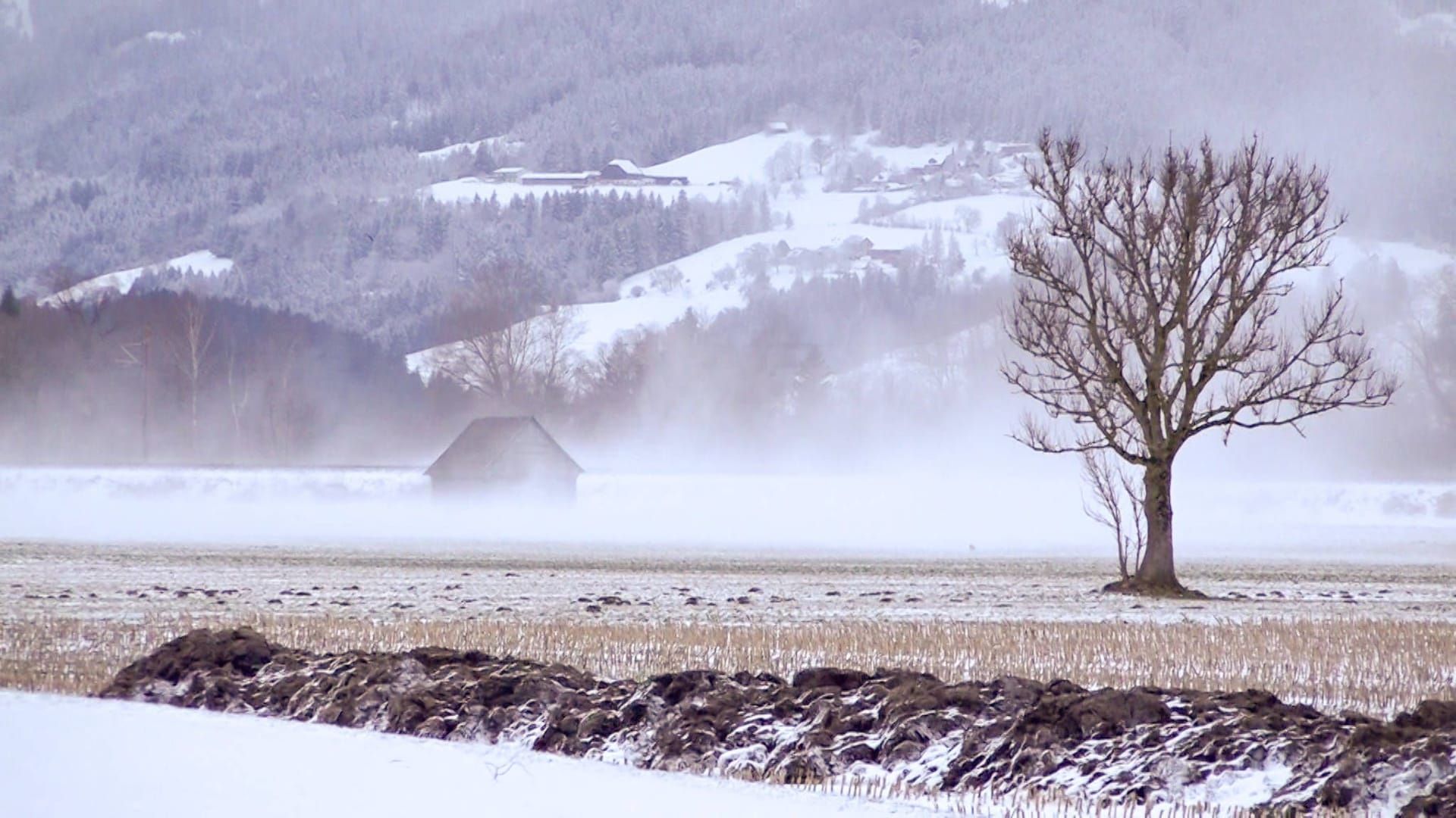 Schnee, Schneesturm, Wetter, Bayern, Frühling, Winter, Eiseskälte, Kälte