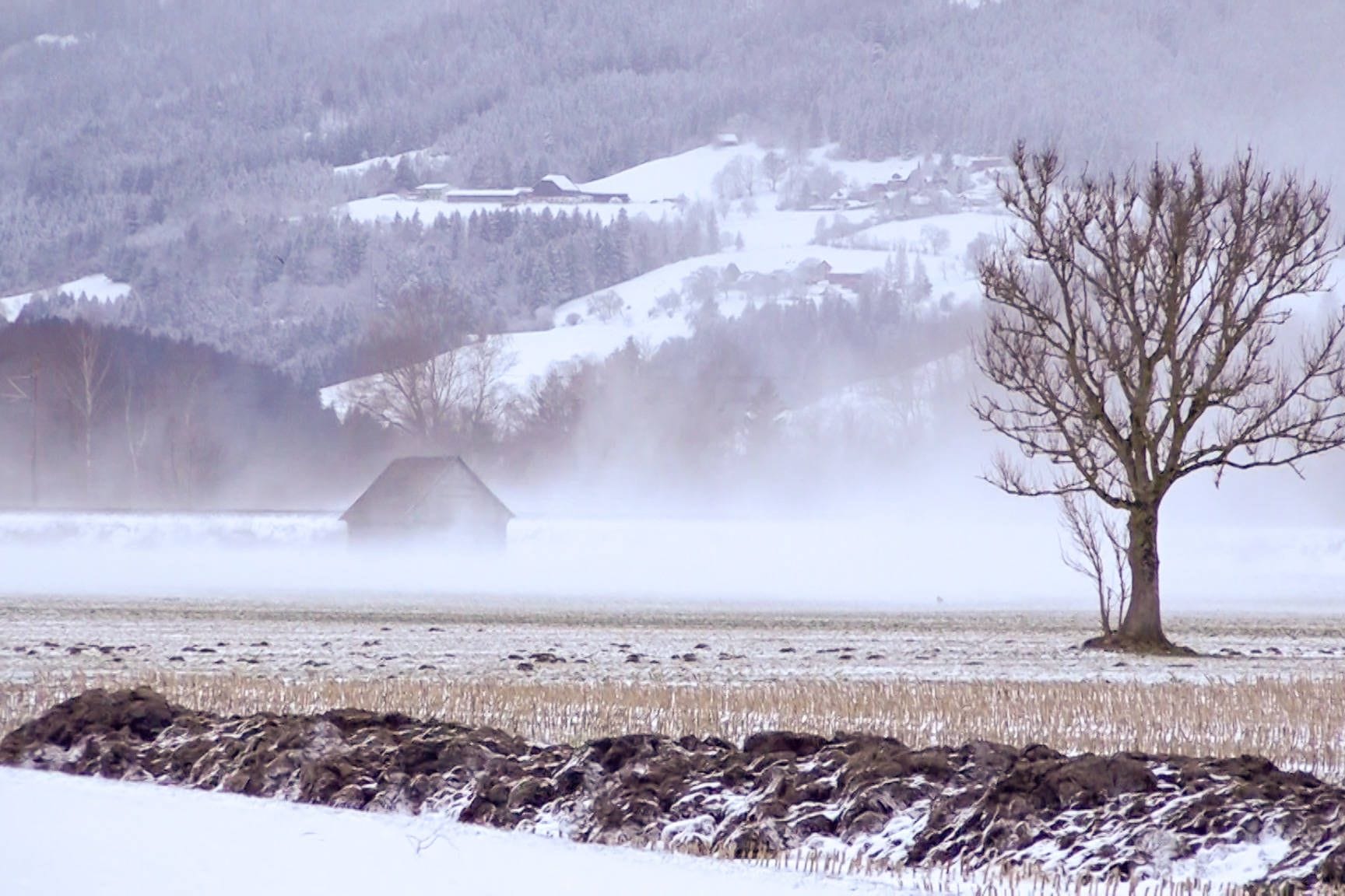 Schnee, Schneesturm, Wetter, Bayern, Frühling, Winter, Eiseskälte, Kälte