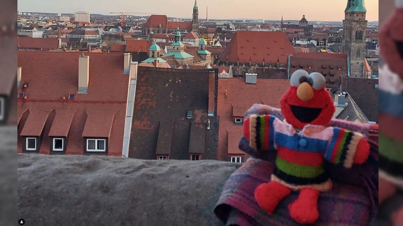 Elmo in Nürnberg: Das letzte Foto, bevor er verloren ging.