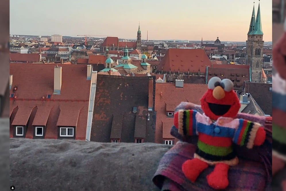 Elmo in Nürnberg: Das letzte Foto, bevor er verloren ging.