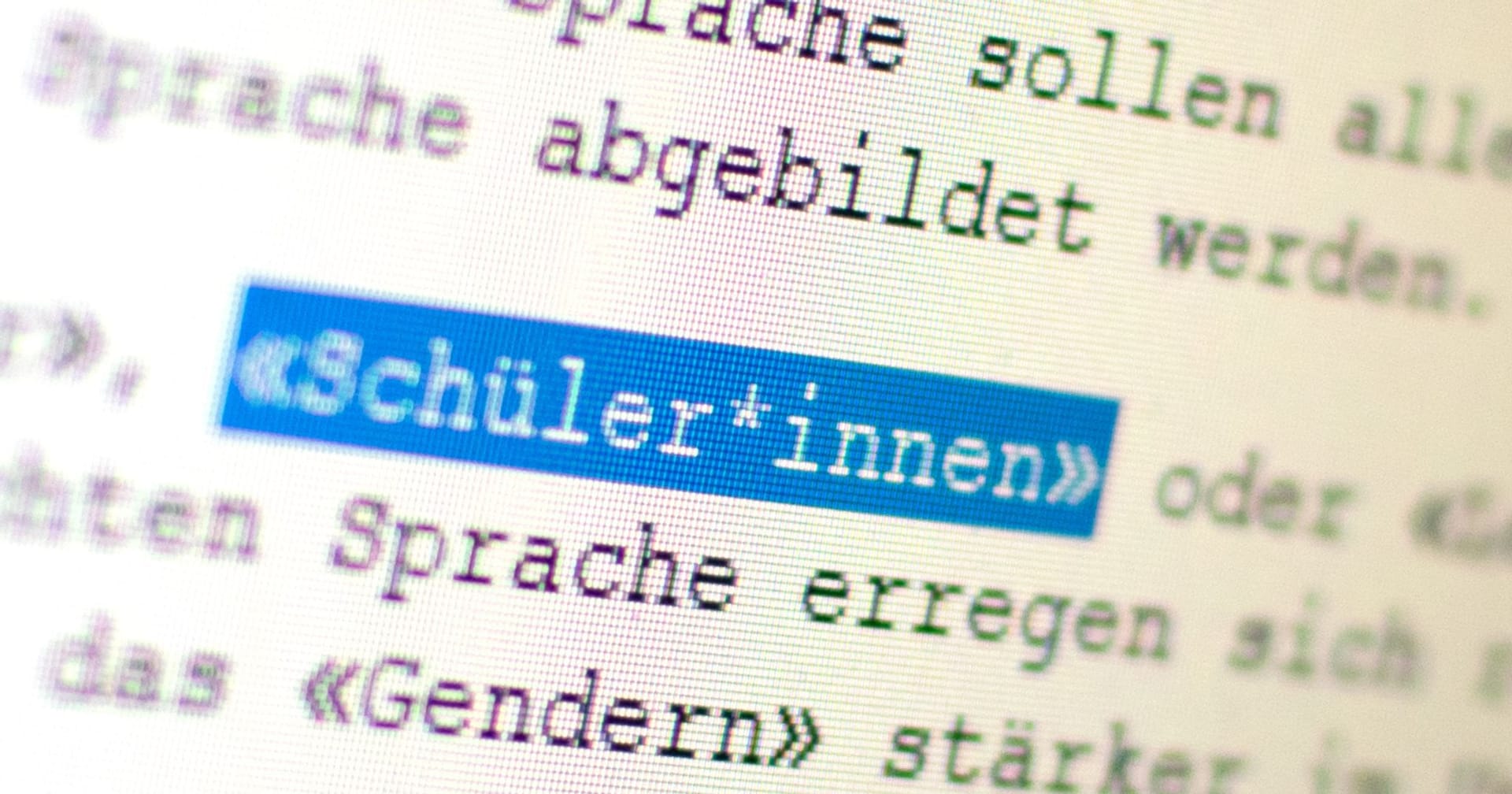 Auf einem Bildschirm ist das Wort "Schüler*innen" zu sehen (Symbolbild): Geschlechtersensible Sprache gefällt nicht jedem.