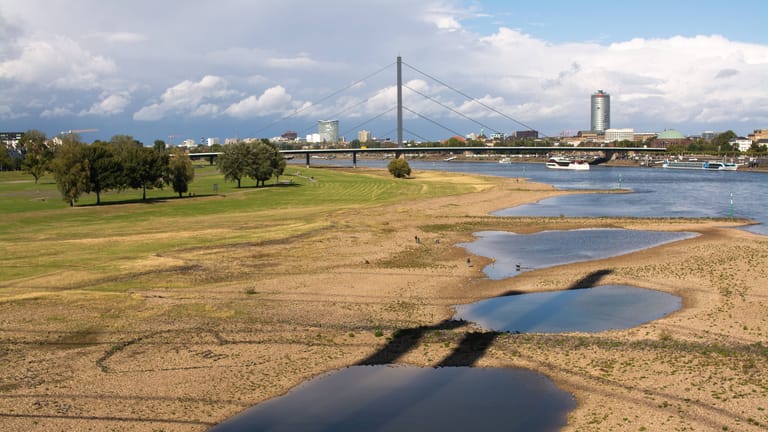 Niedrigwasser auf dem Rhein vergangenes Jahr:
