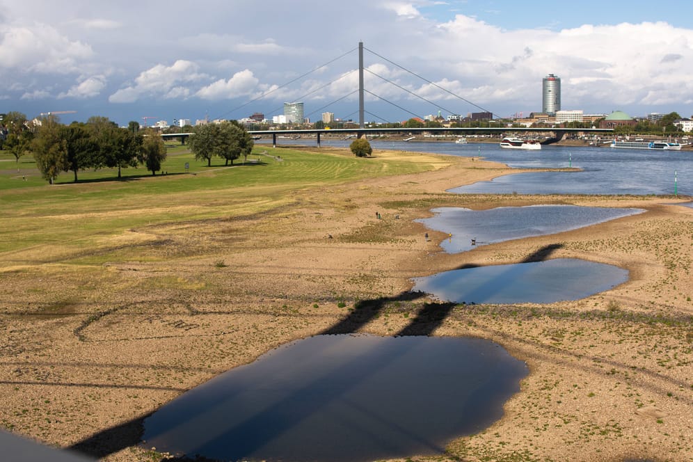 Niedrigwasser auf dem Rhein vergangenes Jahr: