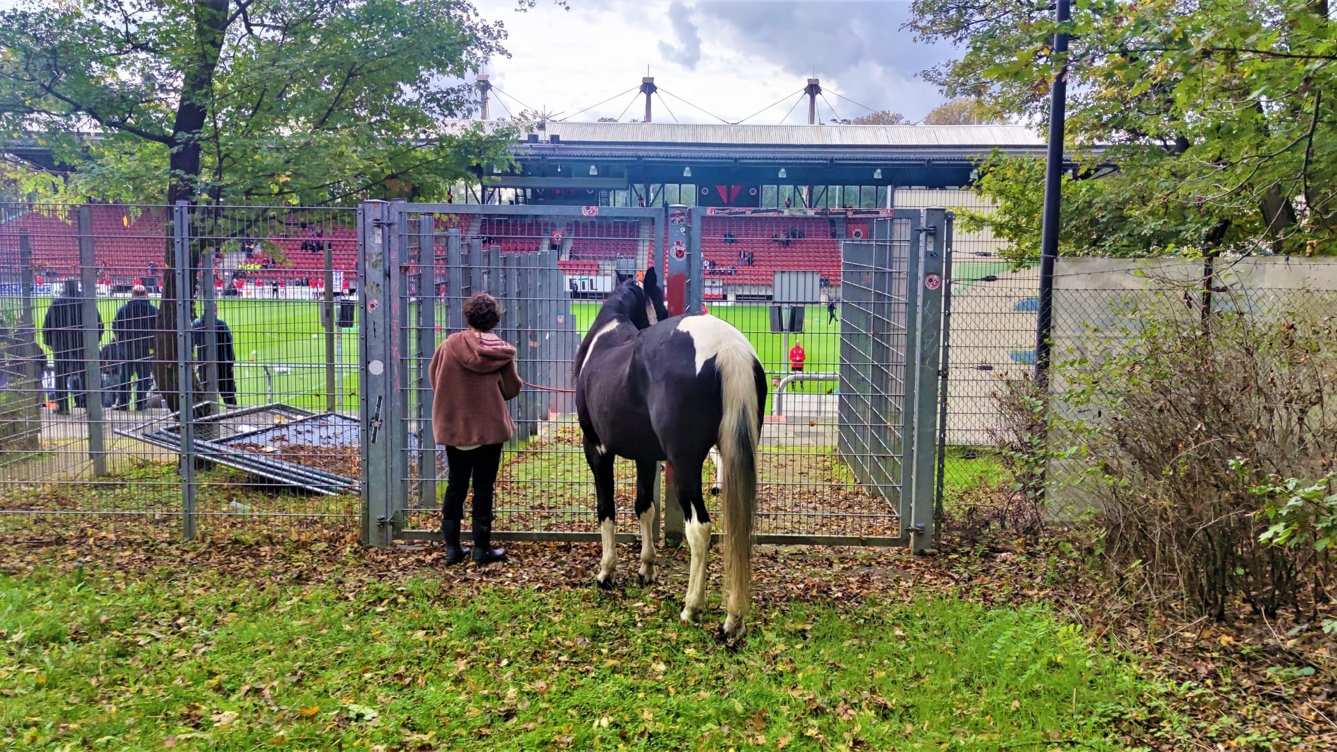 Jenny und Nele gucken Fußball: Die Fans von Viktoria Köln feiern die beiden.