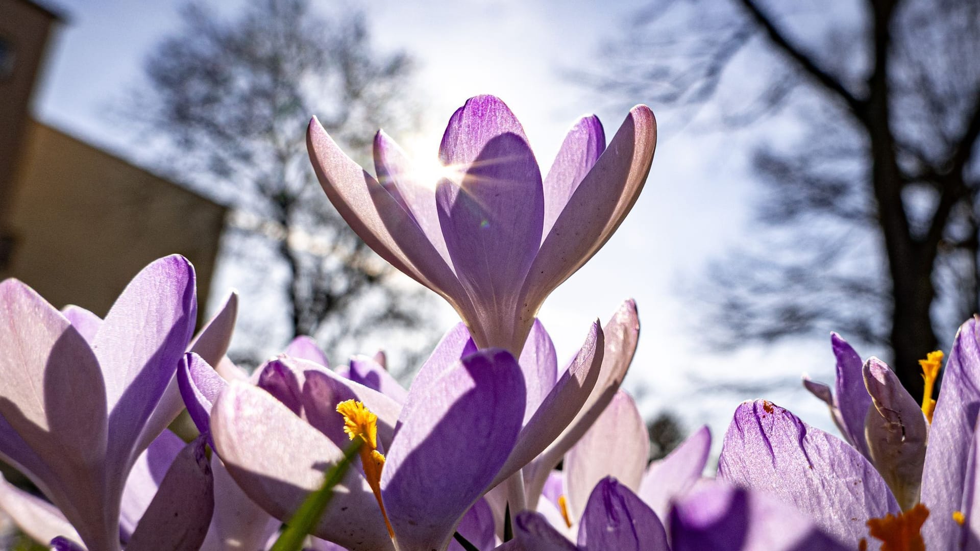 Der Frühling naht