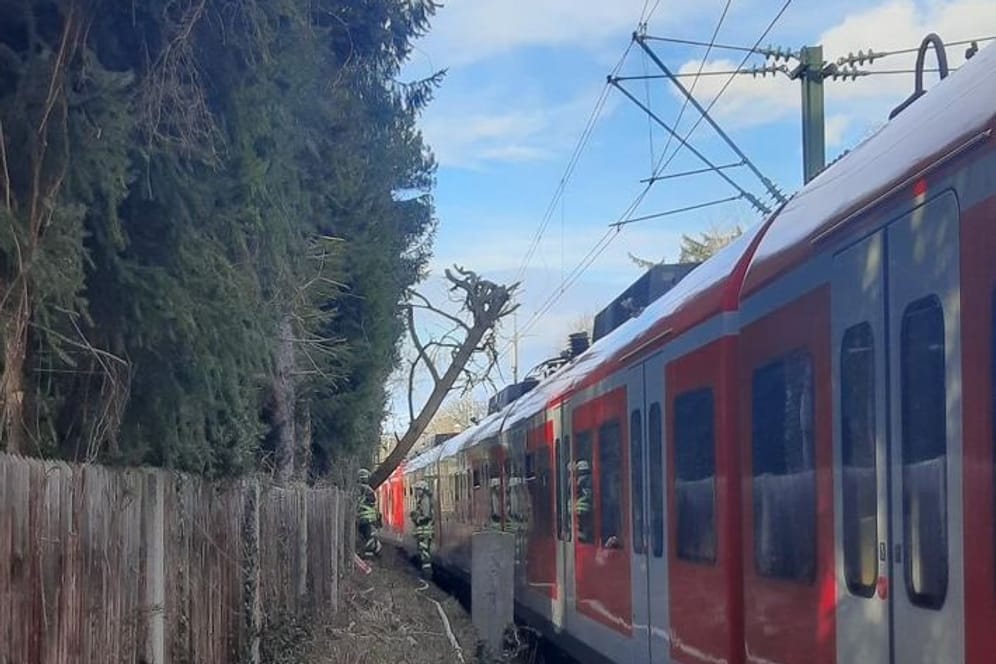 Umgestürzter Baum auf Oberleitung und S-Bahn in München
