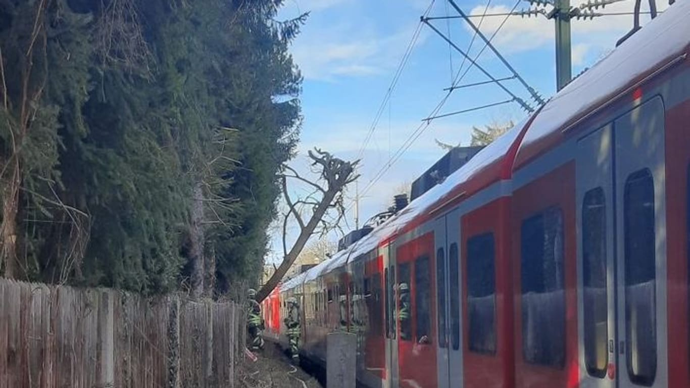 Umgestürzter Baum auf Oberleitung und S-Bahn in München