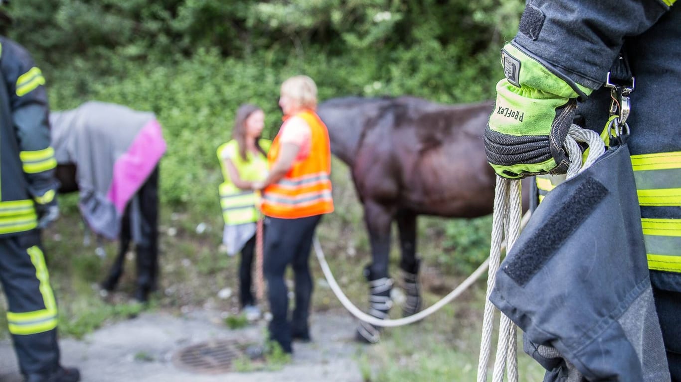Unfall eines Pferdeanhängers (Symbolfoto): Die Polizei vermutet als Ursache für die Kollision Unachtsamkeit.