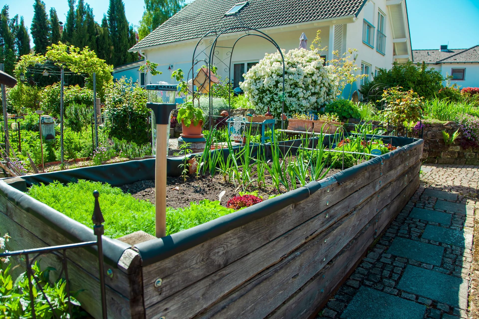 Hochbeet: Durch die Gründüngung lockern Sie den Boden mit Gräsern oder Kleesorten zusätzlich auf.