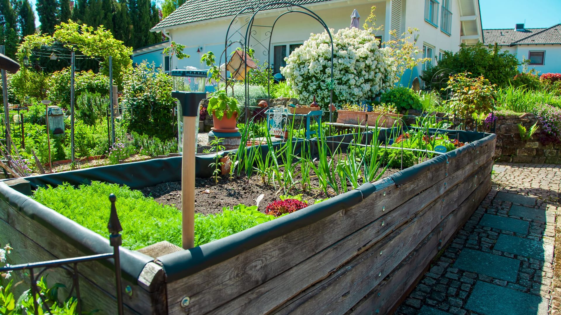 Hochbeet: Durch die Gründüngung lockern Sie den Boden mit Gräsern oder Kleesorten zusätzlich auf.