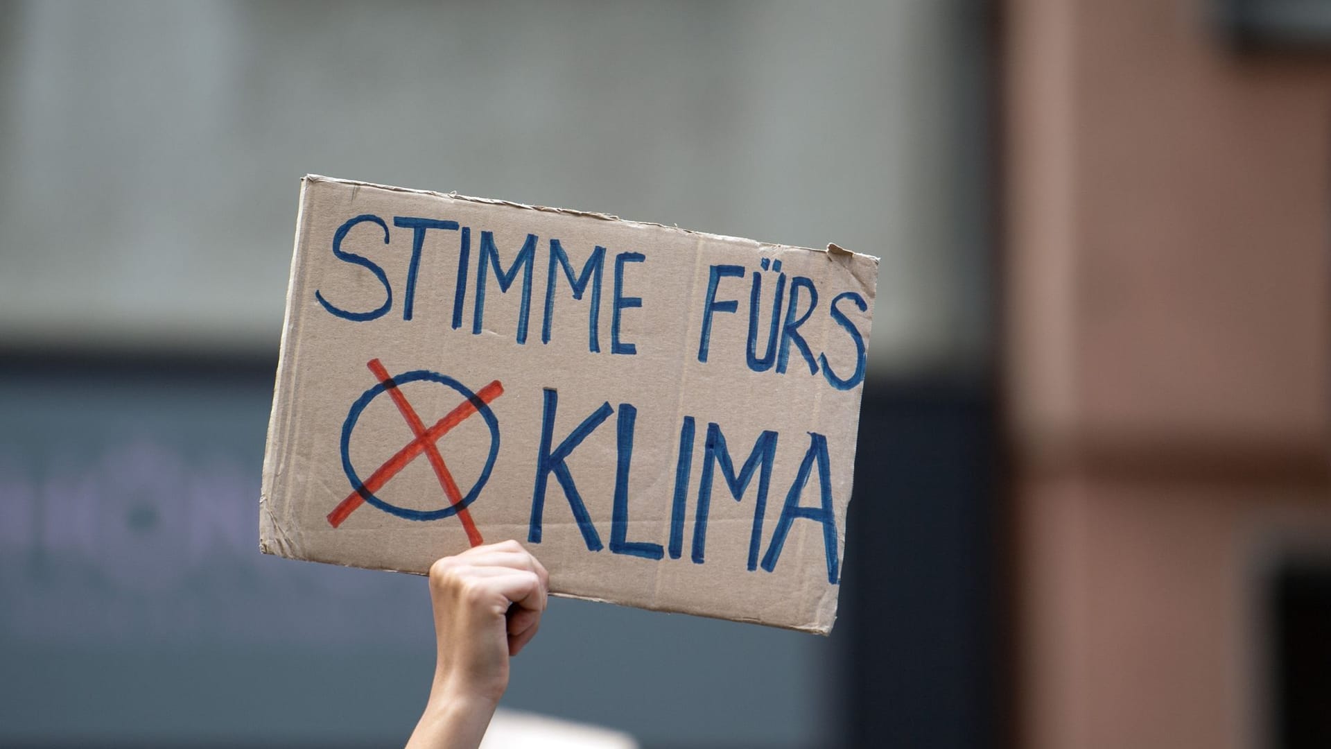 Fridays for Future Fridays for Future