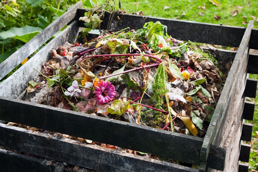 Kompost ausbringen: Am besten bringen Sie Ihren Kompost im Herbst aus.