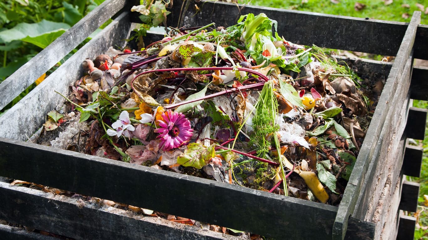 Kompost ausbringen: Am besten bringen Sie Ihren Kompost im Herbst aus.