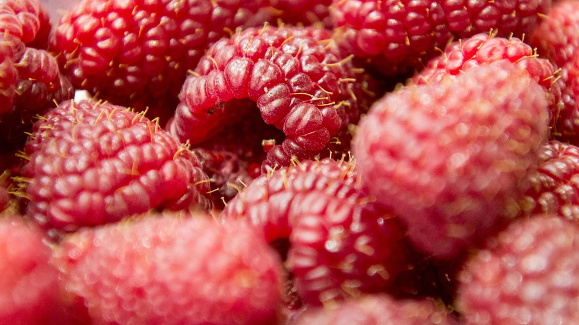 Himbeeren helfen nicht gegen Kopfschmerzen