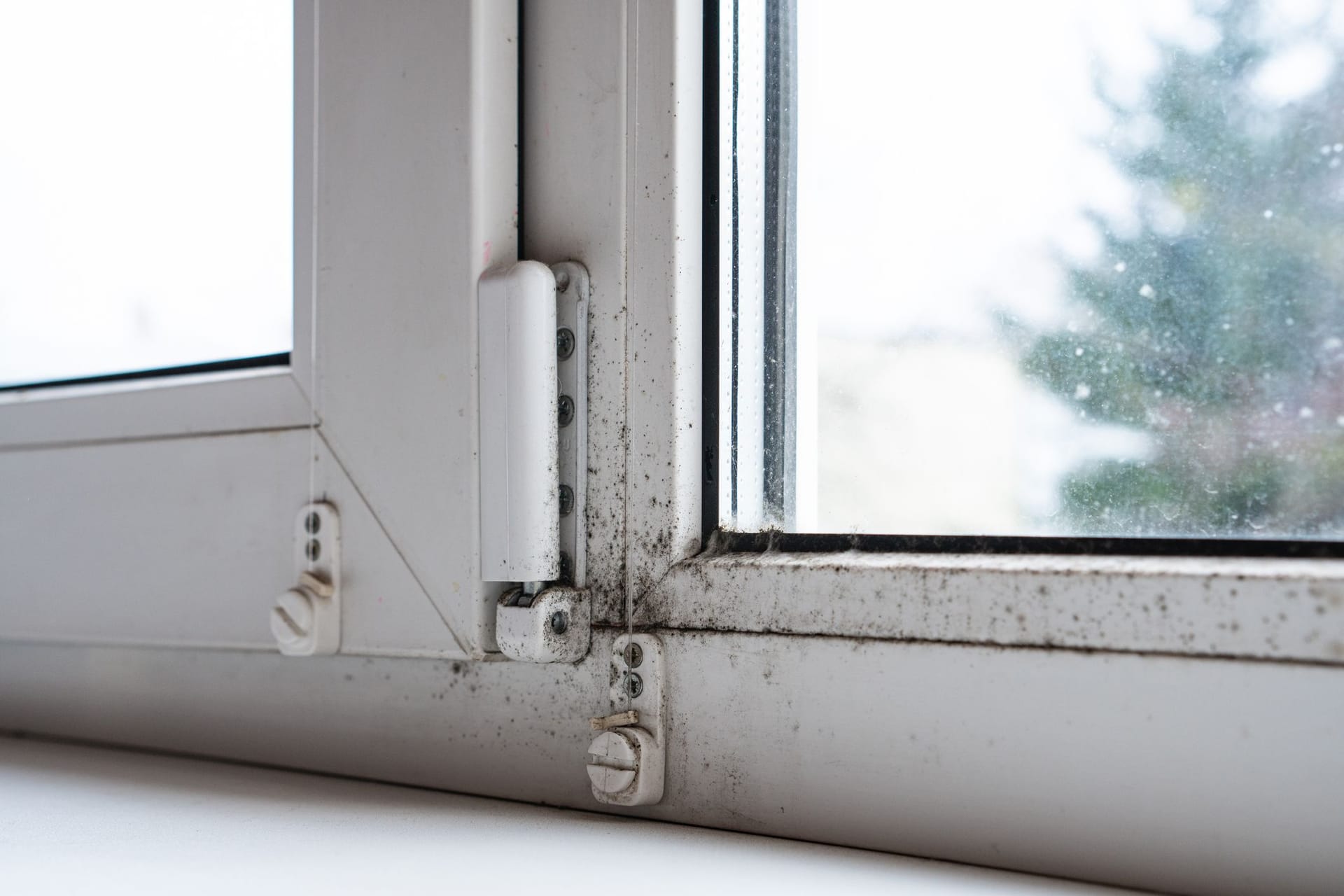 Schimmel auf Silikon am Fenster: Ist Schimmel erst in den Fugen, ist er schwer zu entfernen.