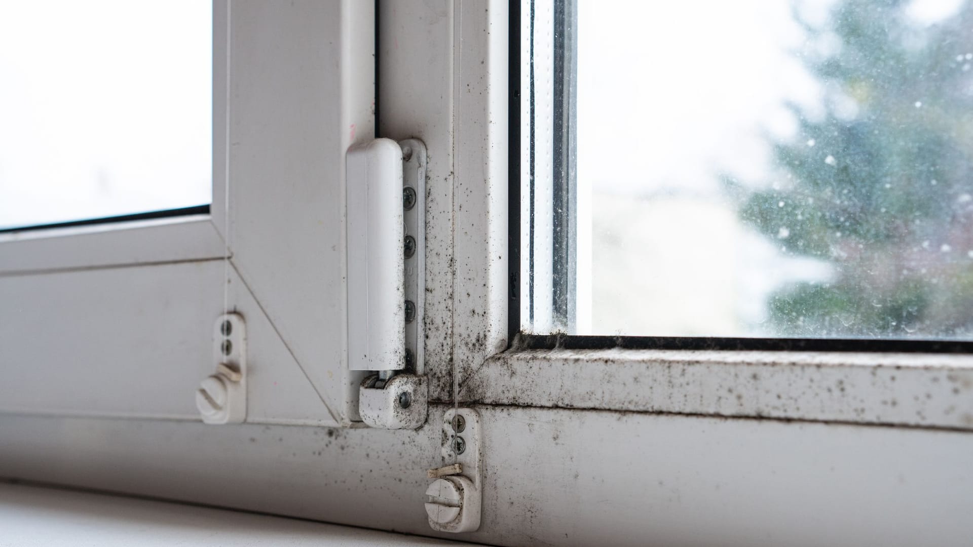 Schimmel auf Silikon am Fenster: Ist Schimmel erst in den Fugen, ist er schwer zu entfernen.