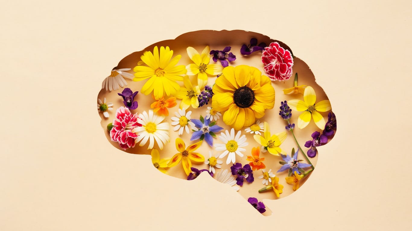 Bunte Wiesenblumen sind in Form eines menschlichen Gehirns angeordnet. Wie frisch ist Ihr Gehirn? Testen Sie Ihr Allgemeinwissen im Quiz!