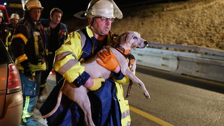 Ein Retter trägt einen Hund nach einem Unfall auf der A8. Der Unfallverursacher verletzte sich ebenfalls schwer, ein Tier starb.