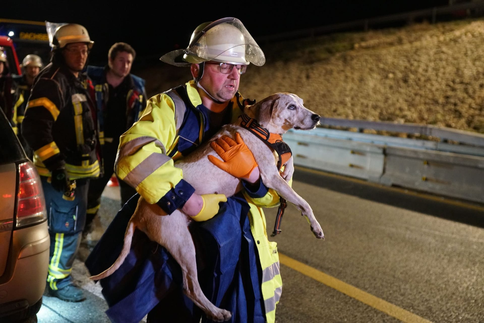 Ein Retter trägt einen Hund nach einem Unfall auf der A8. Der Unfallverursacher verletzte sich ebenfalls schwer, ein Tier starb.