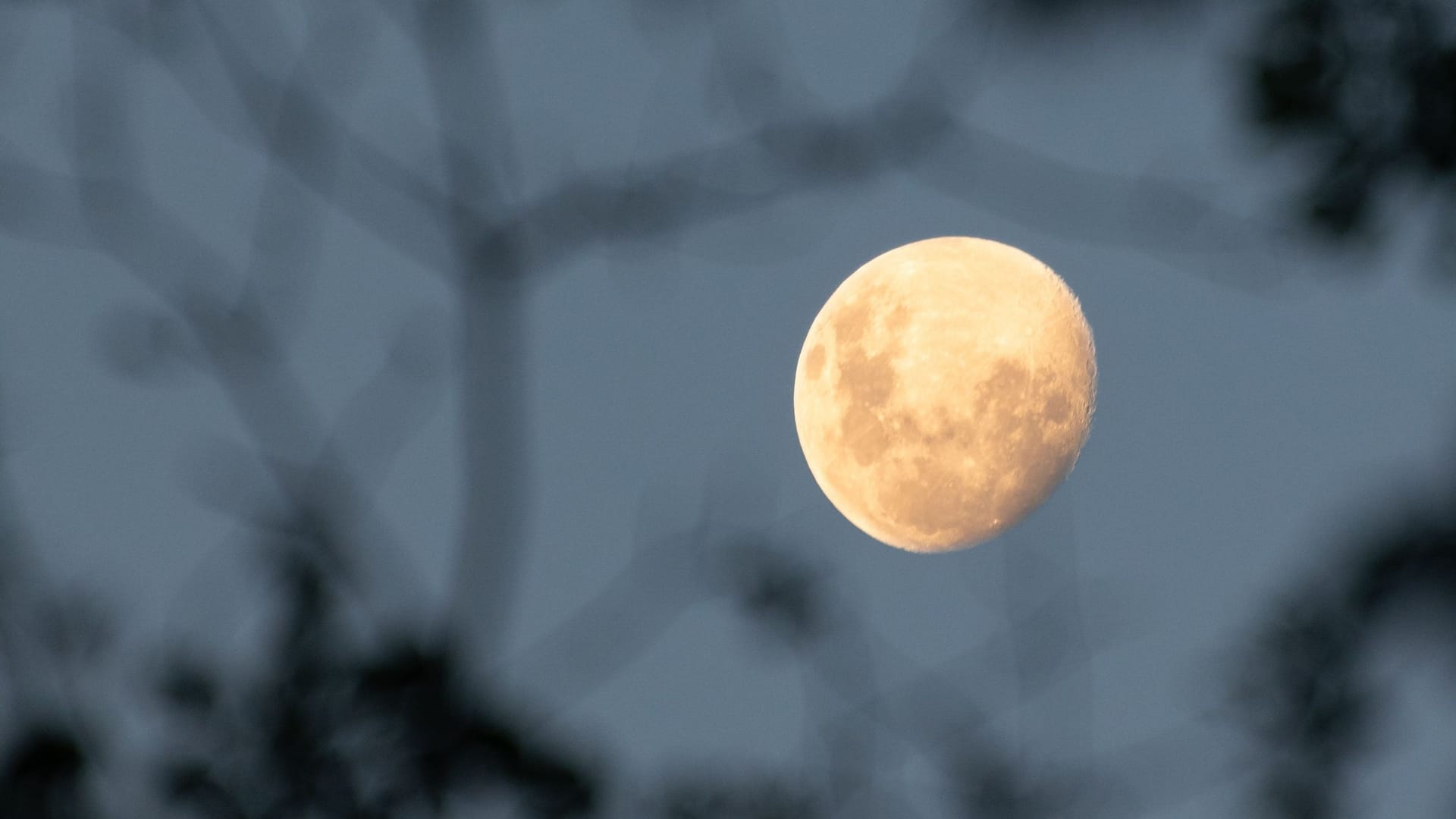 Mond: Winzige Glaskugeln deuten auf Milliarden Tonnen Wasser auf dem Mond hin. Mond: Winzige Glaskugeln deuten auf Milliarden Tonnen Wasser auf dem Mond hin.