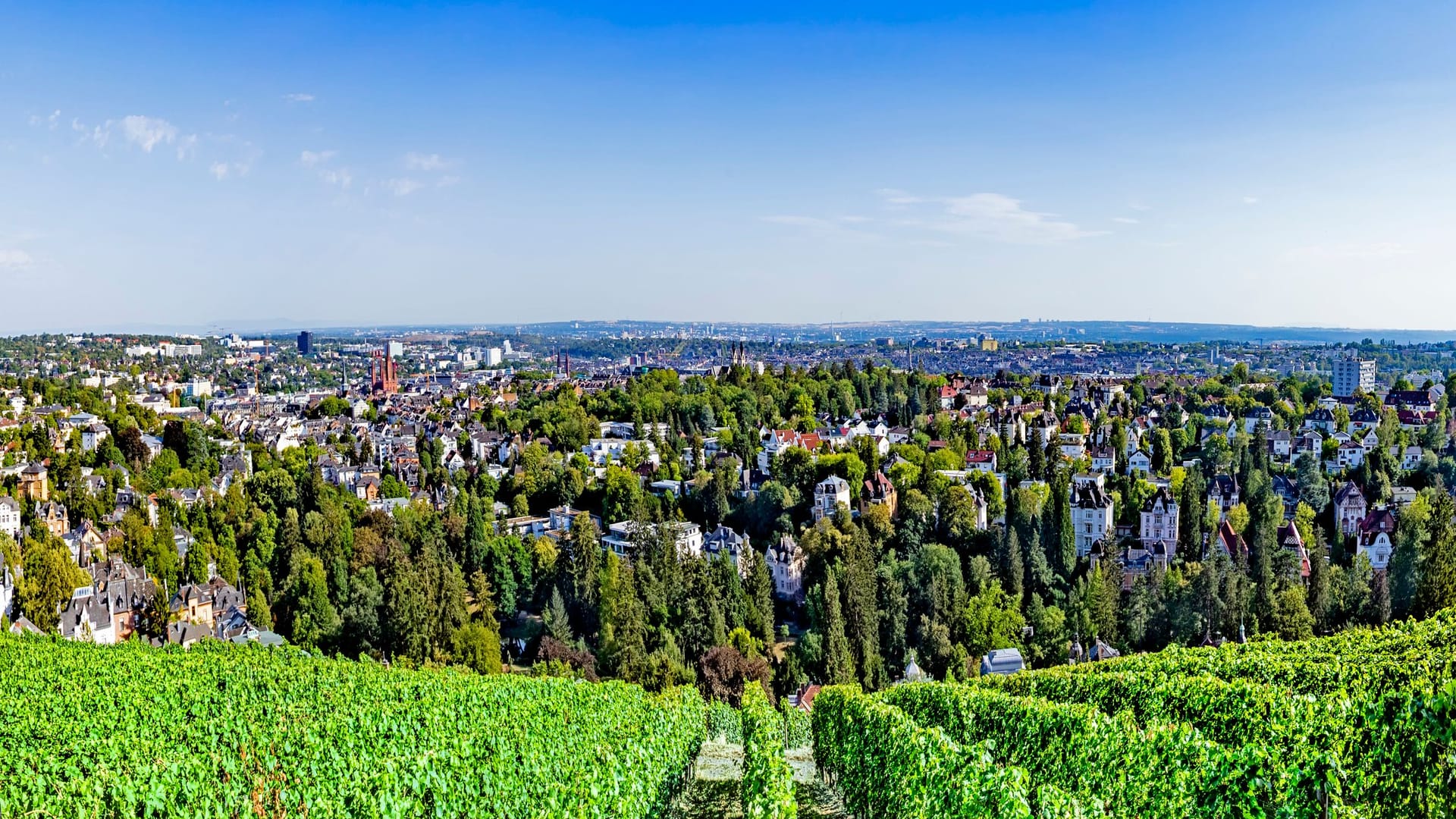Blick auf Wiesbaden (Symbolbild): In Hessen ist der durchschnittliche Schuldenstand von Kreditnehmern besonders hoch. Blick auf Wiesbaden (Symbolbild): In Hessen ist der durchschnittliche Schuldenstand von Kreditnehmern besonders hoch.