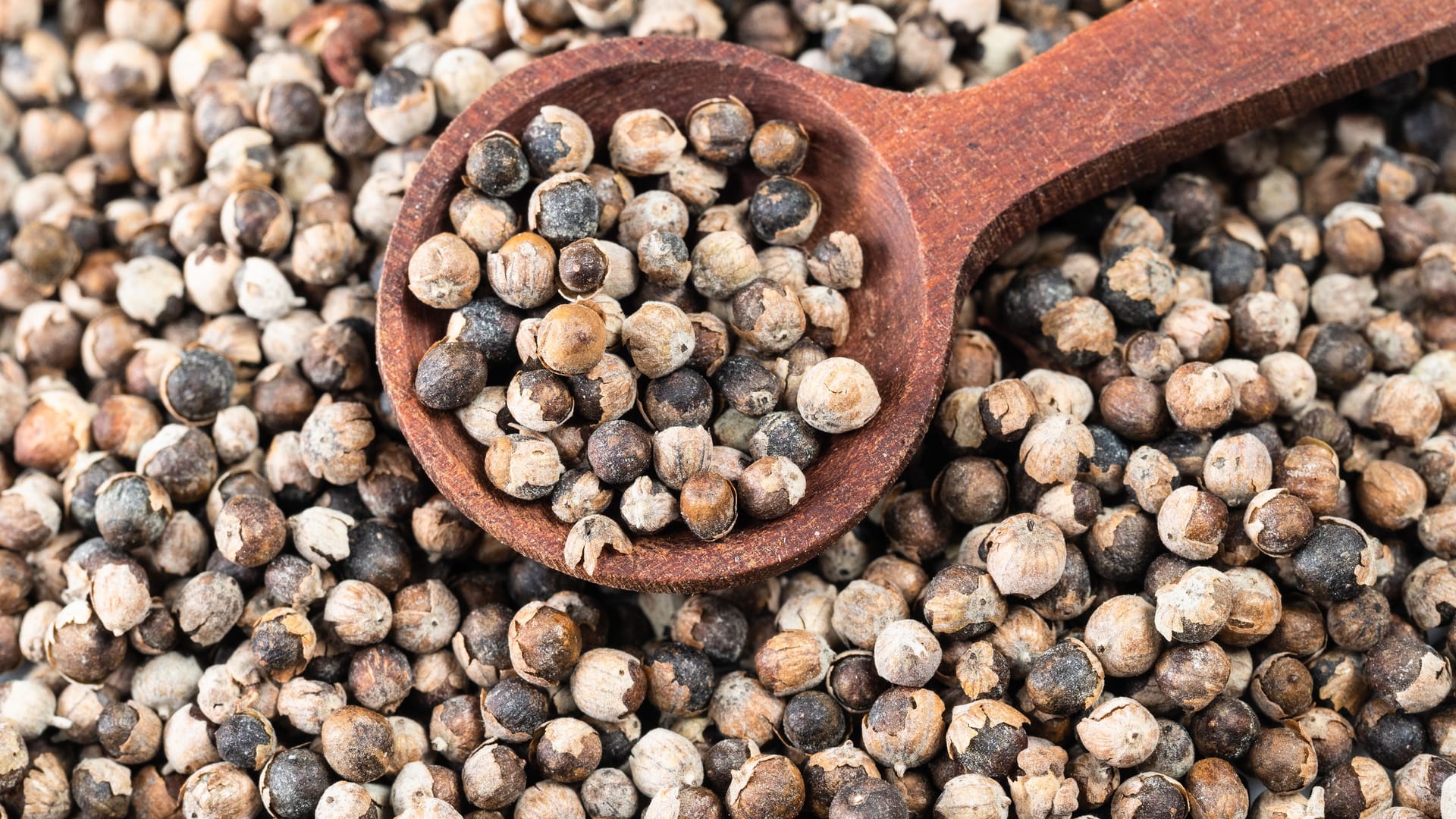 Getrocknete Mönchspfefferbeeren: Mönchspfefferbeeren wurden im Kloster früher auch als Ersatz für echten Pfeffer verwendet.