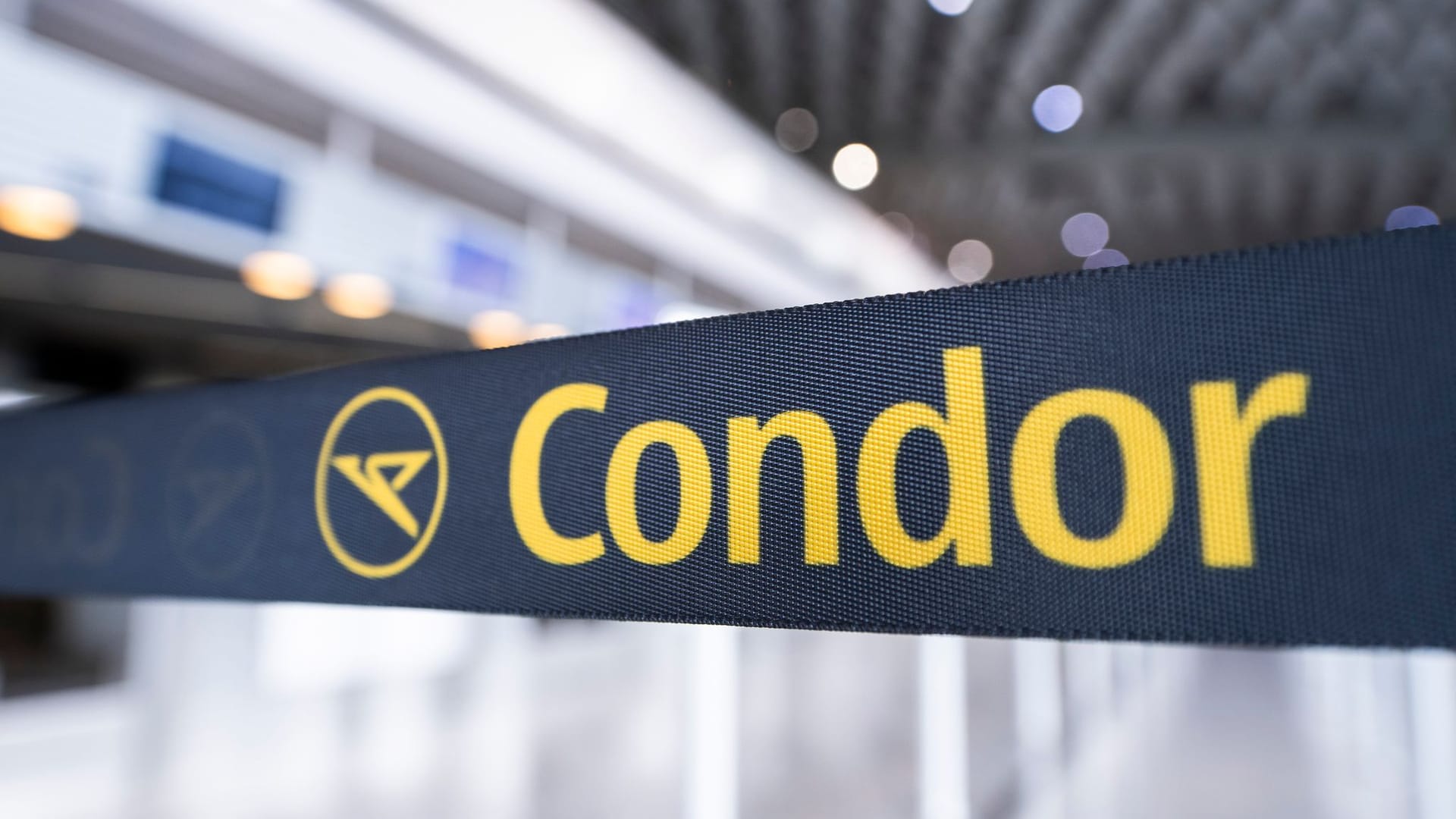 Condor Condor