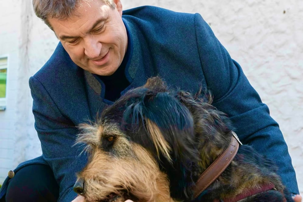 Bayerns Ministerpräsident gibt sich als echter Hunde-Fan: Deshalb übernimmt er jetzt eine Hunde-Ehrenpartnerschaft.