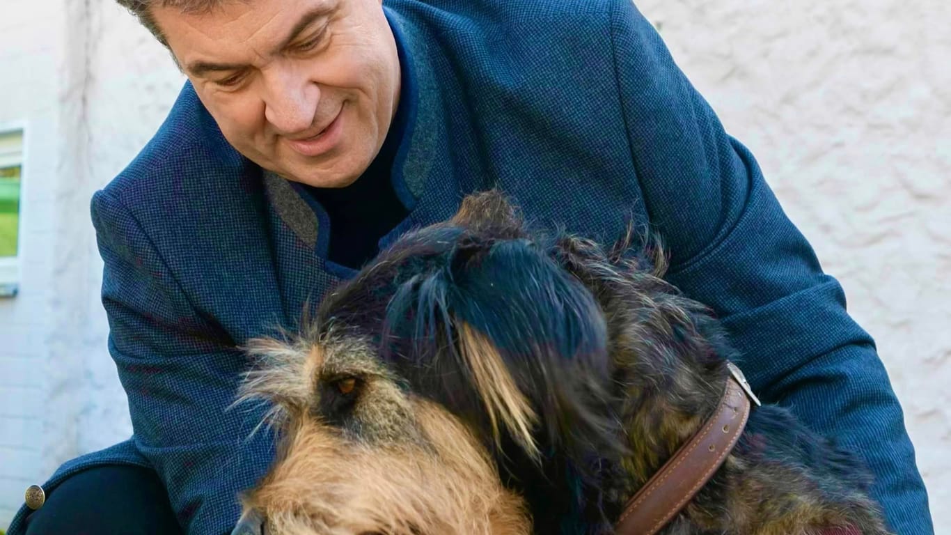 Bayerns Ministerpräsident gibt sich als echter Hunde-Fan: Deshalb übernimmt er jetzt eine Hunde-Ehrenpartnerschaft.
