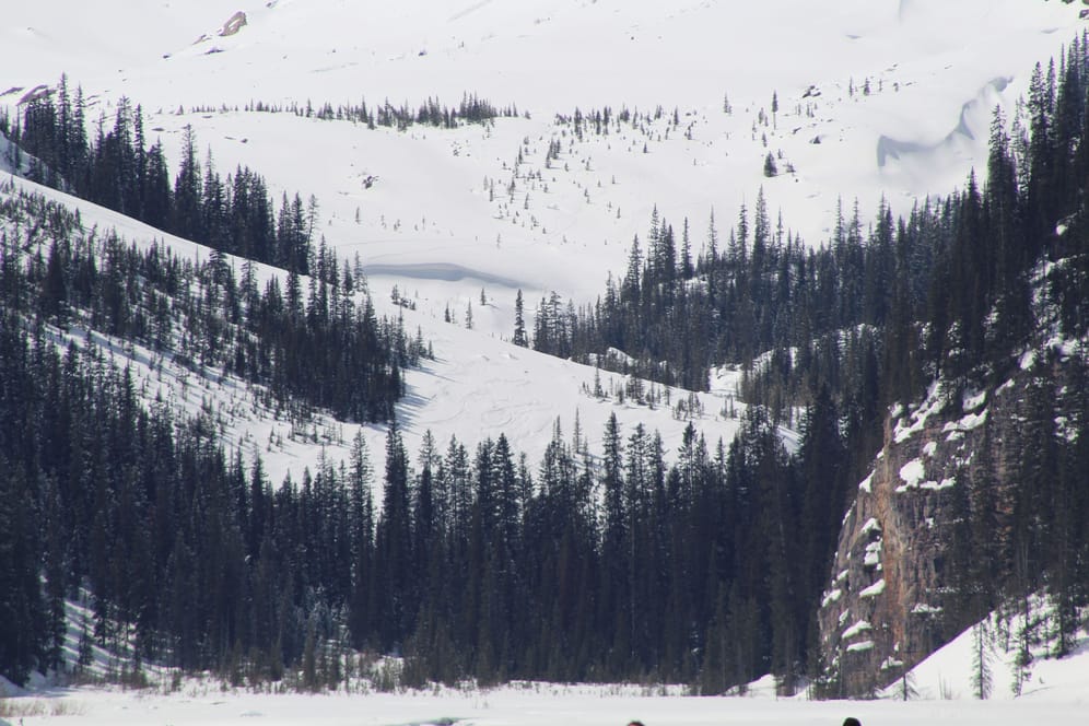 Verschneite Berge in den Rocky Mountains: In Kanada sind drei Deutsche von einer Lawine erfasst worden.