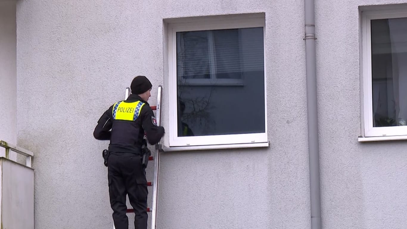 Ein Polizist klettert mit einer Leiter an ein Fenster: In Hamburg stieß die Polizei auf mehrere verelendete und tote Katzen.