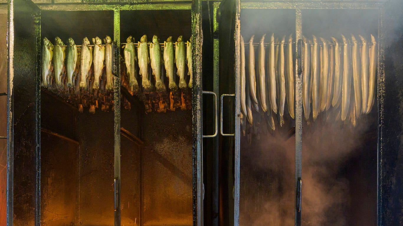 Aale in einem Rauchfang (Symbolfoto): Viele kleine Fischereibetriebe an der Küste verdienen mit dem Verkauf von Aal ihr Geld. Diese Einnahmequelle fällt nun bald weg.