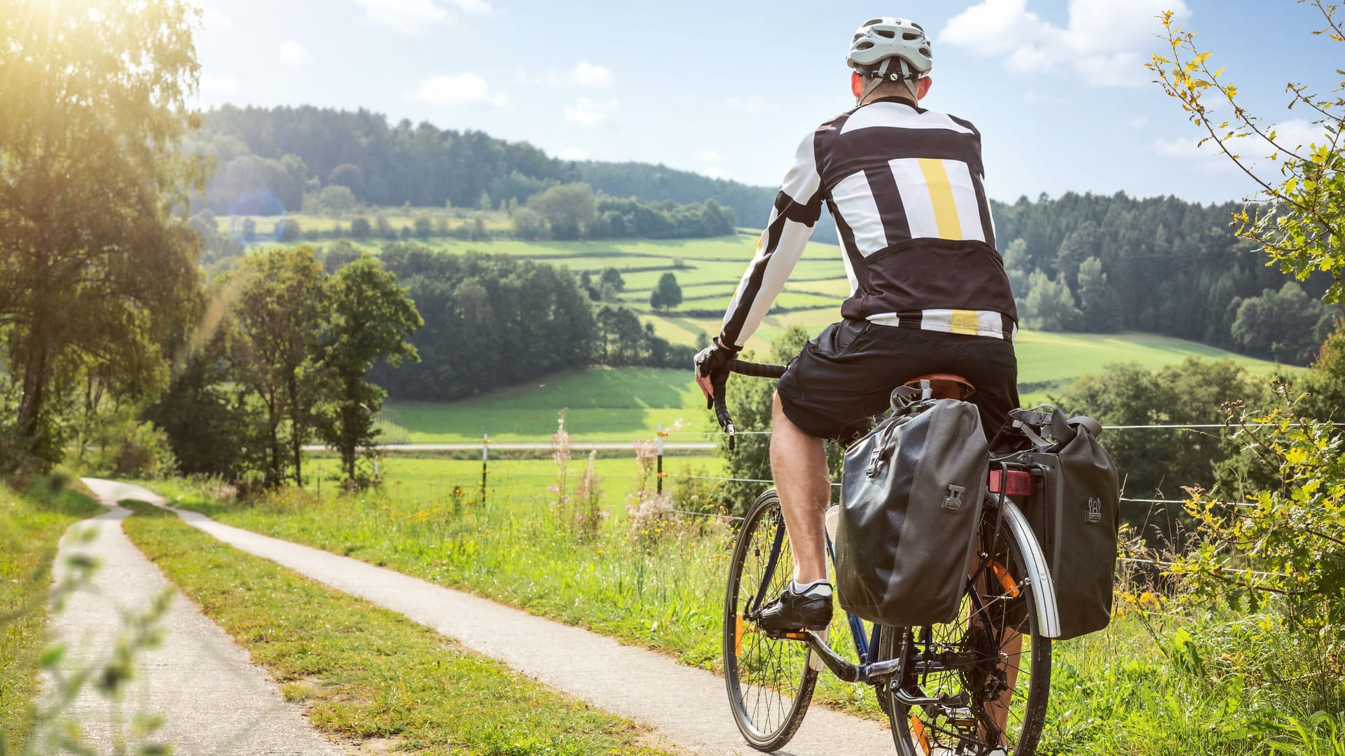 Für lange Fahrradtouren mit viel Gepäck: Die besten Fahrradtaschen für den Gepäckträger.