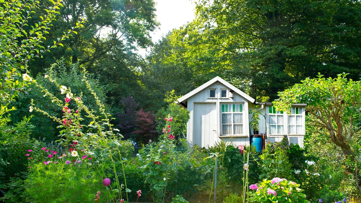 Grüne Oasen: Wer eine Verschnaufpause vom stressigen Stadtleben braucht, findet in Kleingärten viel Natur und Ruhe.